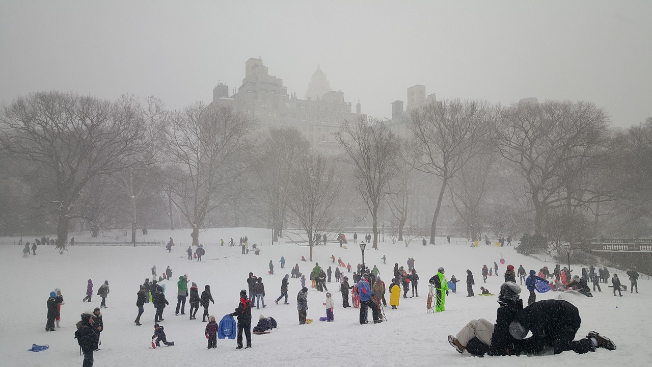 Snow, central park, new york — Popular Uses for Wire Bound Books in Business and Education